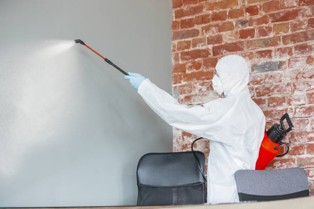 Best Environmental Consulting for Mold Prevention  in Yorktown Heights, NY