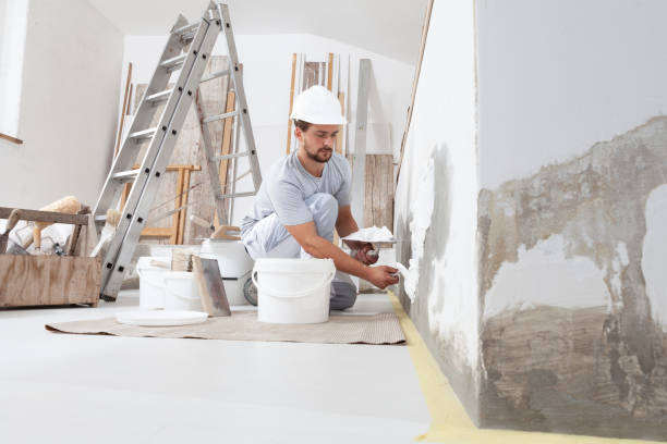 Best Basement Mold Removal  in Yorktown Heights, NY