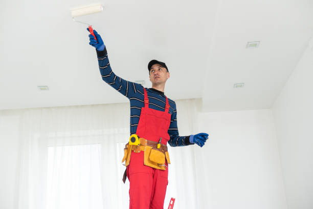 Best Emergency Mold Remediation  in Yorktown Heights, NY