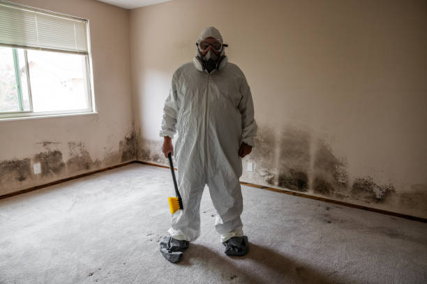 Mold Documentation for Insurance Claims in Yorktown Heights, NY